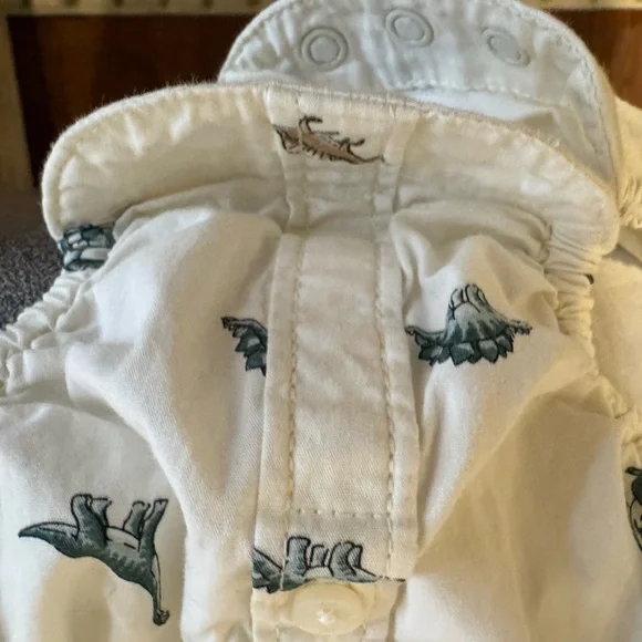 Like New Janie and Jack 2 Piece Boys Dinosaur Button Down w Green Corduroy Pants - Picture 6 of 14